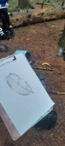 Drawing of a leaf on a clipboard.
