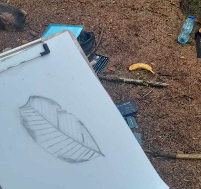 Drawing of a leaf on a clipboard.