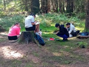 Girl sits on tree stump while others crouch down to draw in notebooks.
