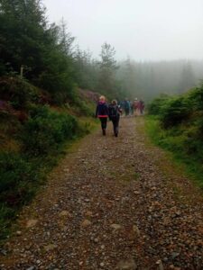 Group of people walk along forest trail on a foggy day.