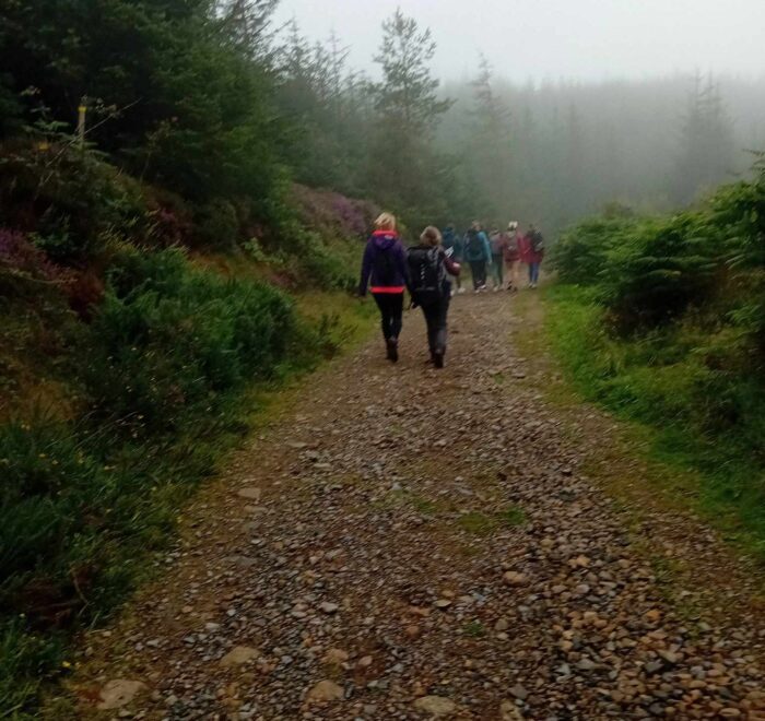 Group of people walk along forest trail on a foggy day.