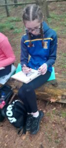 Girl draws on a clipboard while sitting on fallen tree trunk.