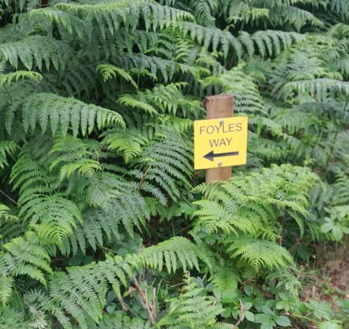 Sign that points to 'Foyles Way' in forest.