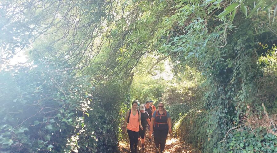 Group of women hike through greenery.