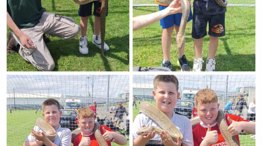 Collage of young boys holding a snake around their shoulders.